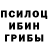 Галлюциногенные грибы Psilocybe Logvalt Hunt